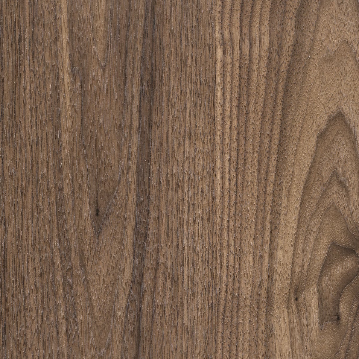 Natural Walnut Finish | BDI Furniture