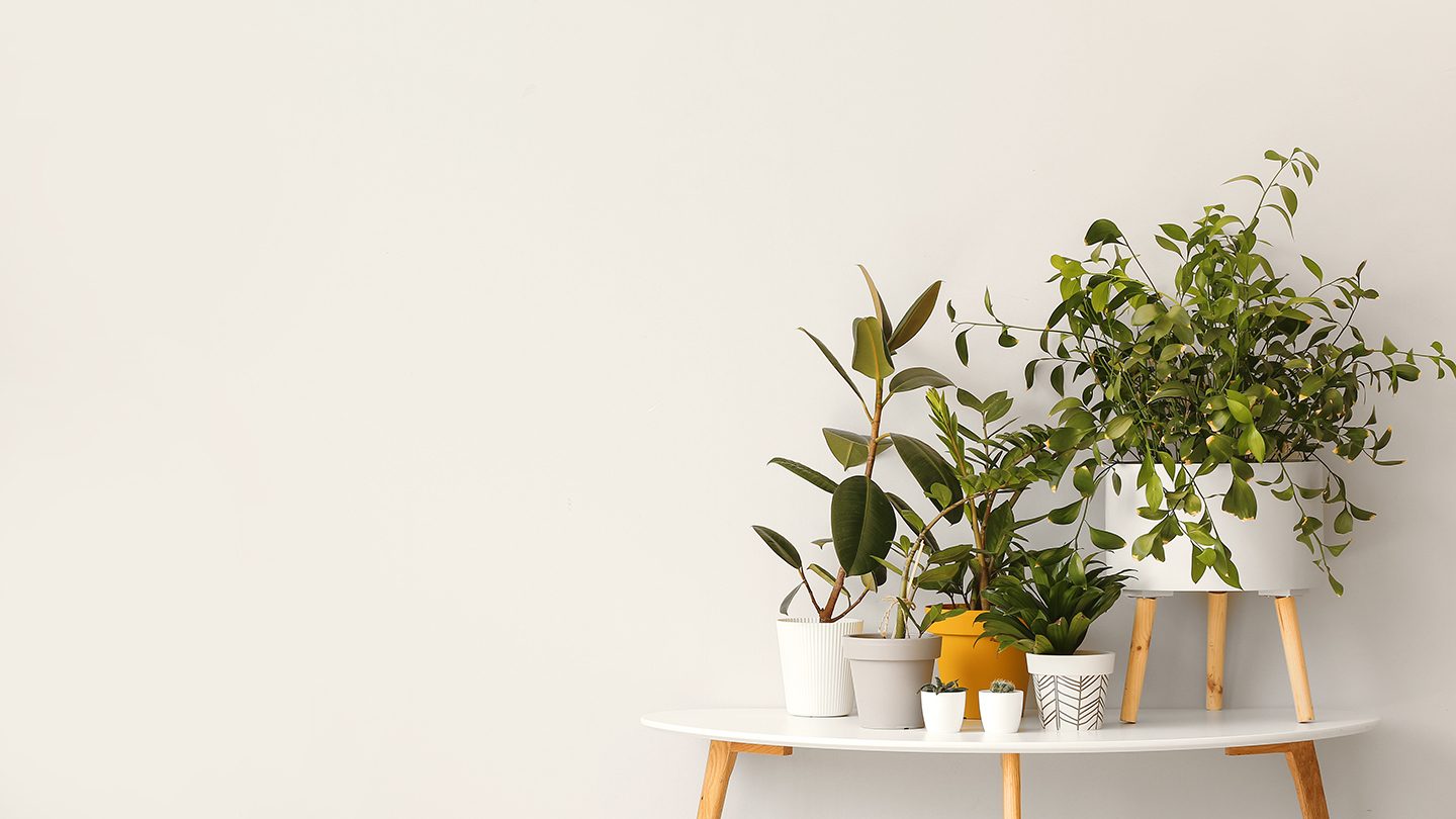 Nature inspired home decor trends bdi