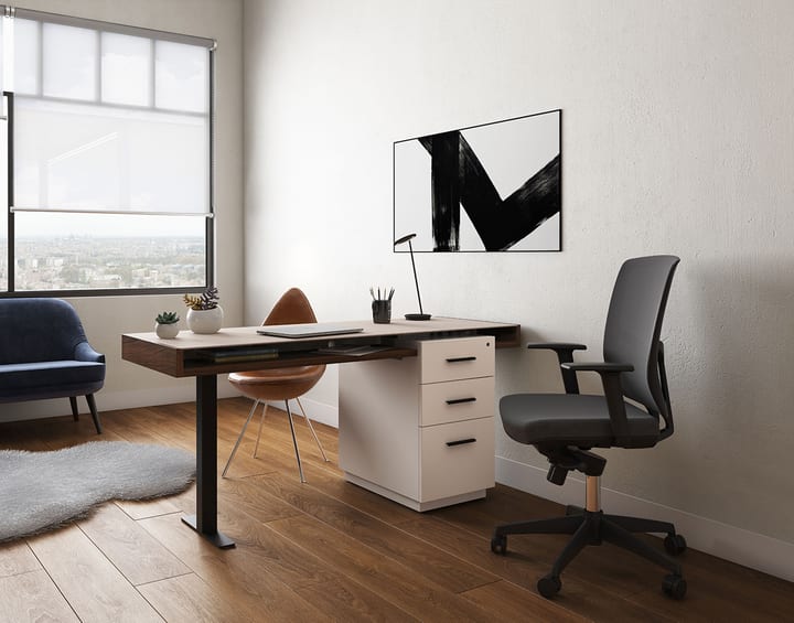 BDI Duo Desk 6241