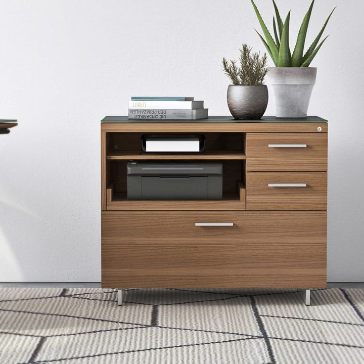 BDI Sequel 6117 multi-function file cabinet, printer stand, and storage cabinet.