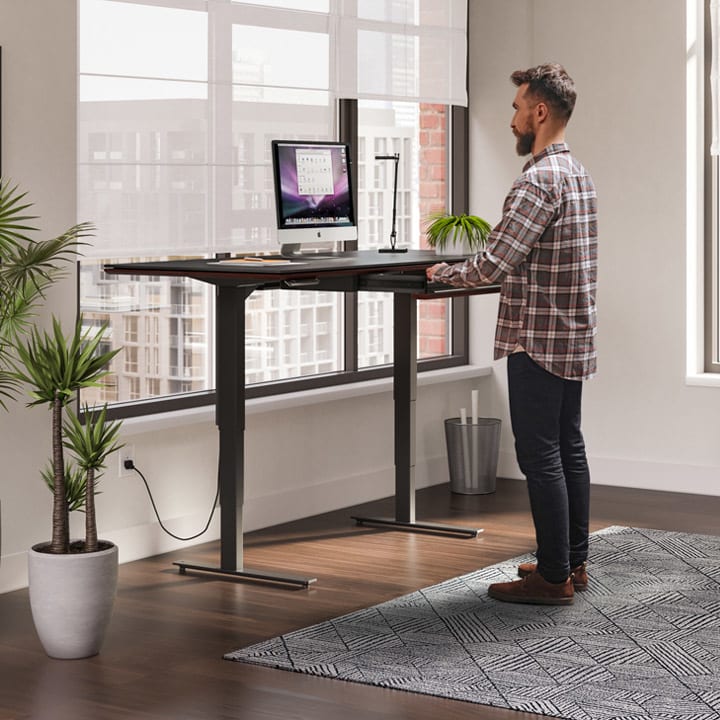 BDI Sequel 6152 standing desk.