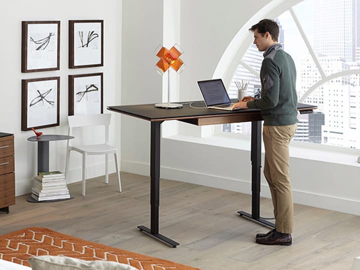 Workday Standing Desk Bdi