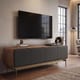 Plume modern media console storage cabinet 8079 BDI furniture walnut product type 720