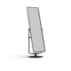 Continuum 3472 BDI natural walnut swiveling standing mirror 1 3200
